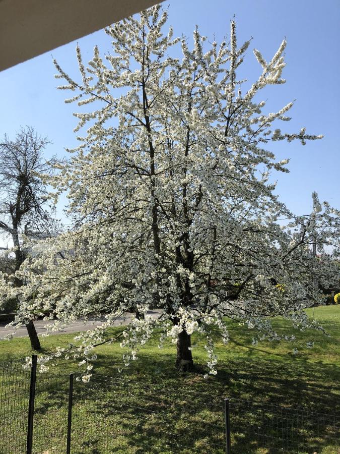 Le Clos Des Pommiers Frühstückspension